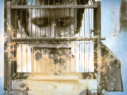 film still: 