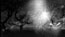 She triggers a flash vision of Mr Pineska (Samuel Dore)

